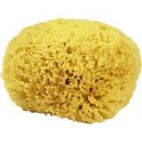 Croll & Denecke Natural Sponge