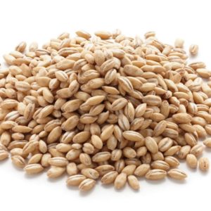 Kaarli Farm Barley Grains